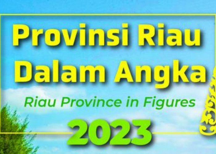 Riau Rp79 Miliar Dana DAK Proyek SMP Tahun 2024: Ini Rinciannya