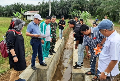 Dinas TPHP Provinsi Tinjau Progres Optimasi Lahan Sawah 