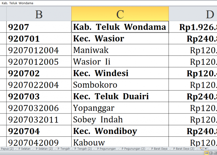 Desa di Teluk Wondama, Kaimana, Manokwari Selatan dan Pegunungan Arfak  Raih Dana Insentif Desa Tahun 2024