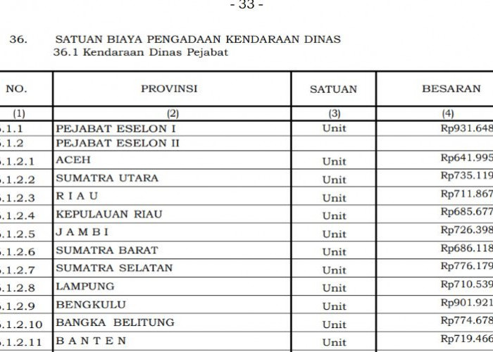 Bengkulu Masuk Tiga Besar, Pengadaan Kendaraan Dinas Eselon II Capai Rp901,9 Juta Berdasarkan PMK