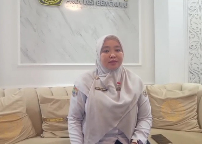Kabar Baik! 36 Dusun di Bengkulu Berpeluang Segera Dialiri Listrik, Ini Rinciannya