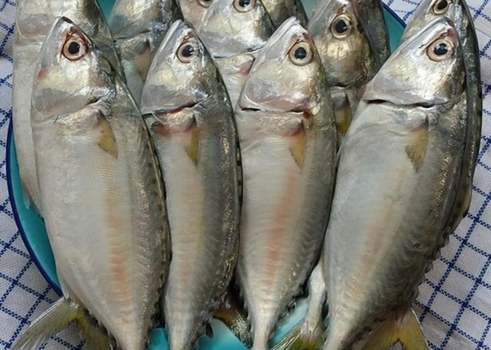 Sumber Protein yang Baik, Ini 6 Manfaat Ikan Kembung untuk Kesehatan Anak