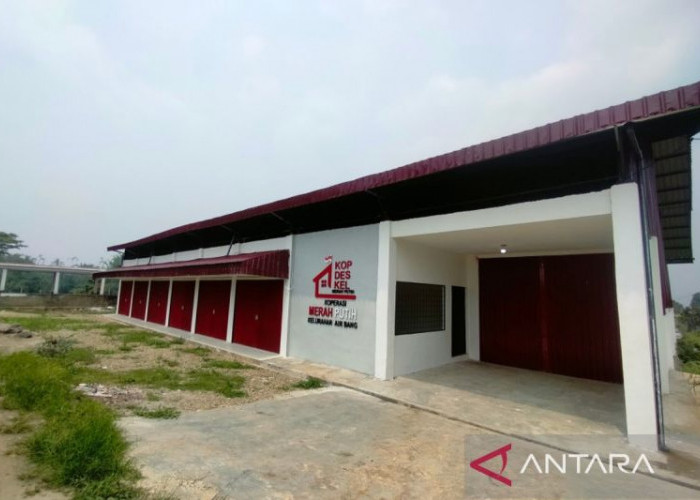 120 Gerai KDKMP Sudah Rampung, 45 Titik Dikebut hingga Akhir September