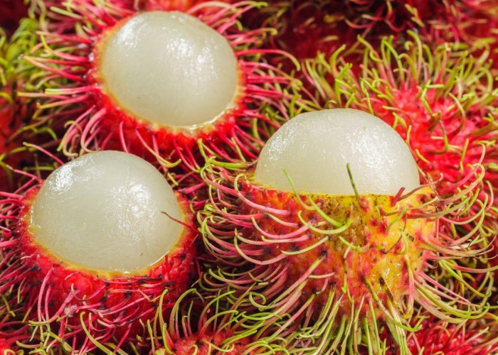 10 Manfaat Buah Rambutan untuk Kesehatan: Lebih dari Sekadar Cemilan