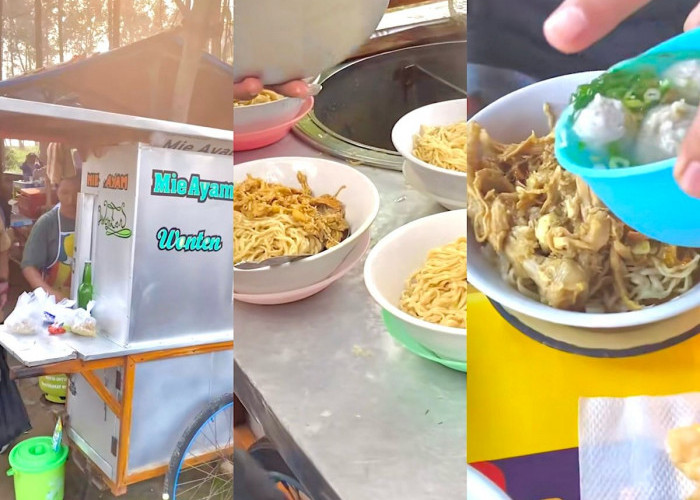 5 Mie Ayam Favorit Warga Bengkulu: Kuliner Ikonik yang Harus Dicoba!