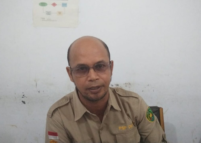 Realisasi Pupuk Subsidi di Kota Bengkulu Capai 77 Persen, Serapan Urea dan NPK Paling Dominasi