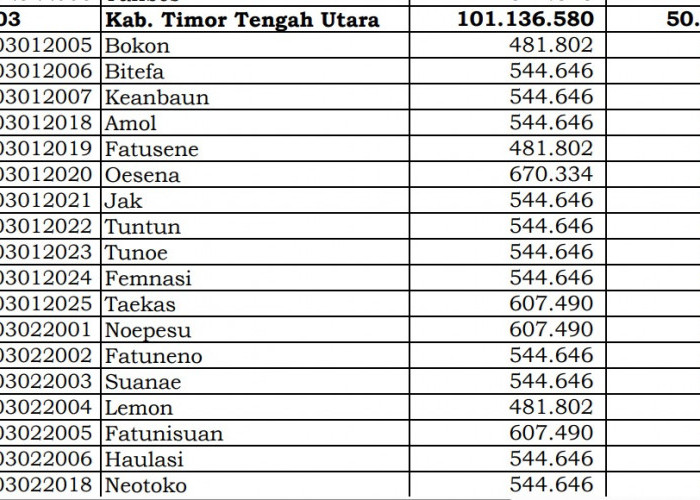 Rincian Dana Desa 2024 Timor Tengah Utara, NTT: Cek Jawabannya di Sini