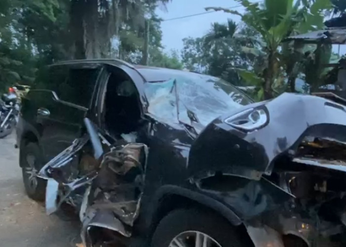 Hujan Deras Picu Pohon Tumbang di Liku Sembilan, Mobil Dosen Rusak Parah