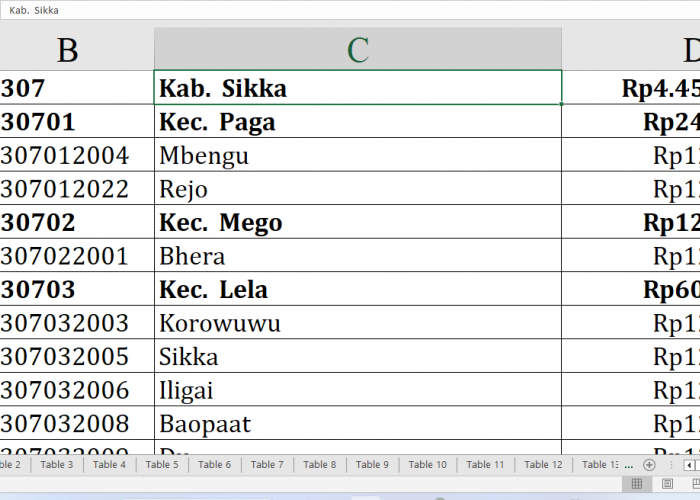 Ini Daftar Desa di Kabupaten Sikka dan Ende Raih Dana Insentif Desa 2024