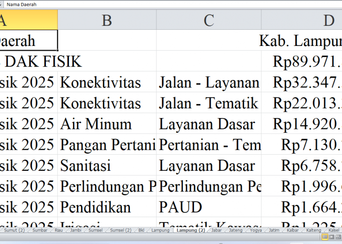 Rincian Pagu Dana DAK Fisik 2025 untuk Lampung: Kabupaten Lampung Utara, Lampung Timur, dan Tanggamus