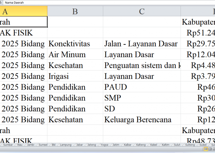 Rincian Pagu Dana DAK Fisik 2025 untuk Aceh: Kabupaten Nagan Raya, Aceh Tamiang, Pidie Jaya, dan Kota Subuluss