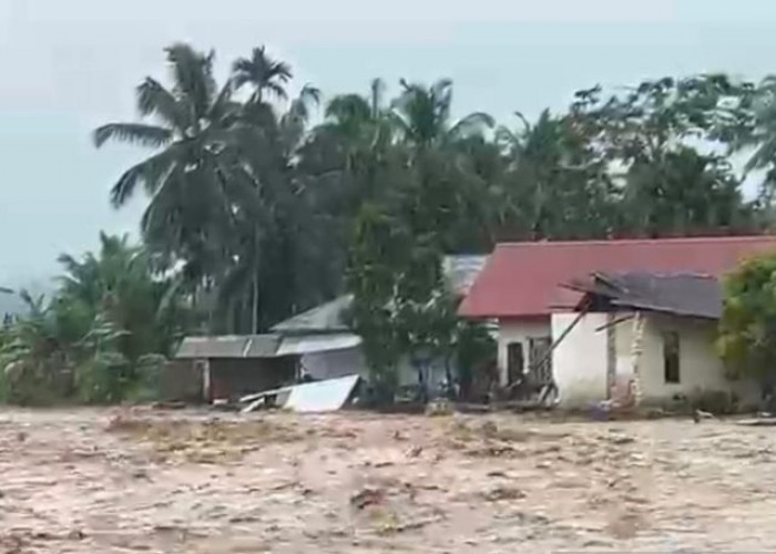 Kerugian Bencana di Padang Pariaman Capai Rp268 M, Pemkab Minta Bantuan Pusat
