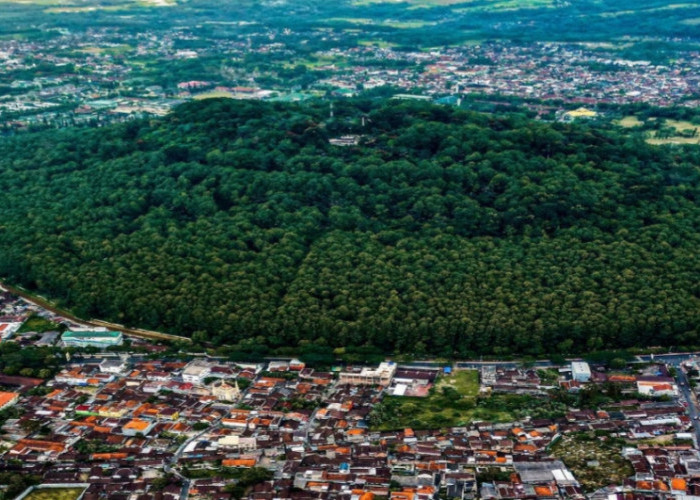 Fakta Unik Gunung Tidar yang Disebut Paku Tanah Jawa