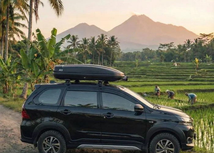 Diburu Konsumen! Ini 5 Mobil Bekas Harga Paling Stabil dengan Harga Jual Kembali Terbaik di Pasar Indonesia