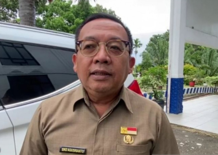 Pemkot Bengkulu Siapkan Pemekaran Jadi 12 Kecamatan, Fokus pada Selebar dan Ratu Agung