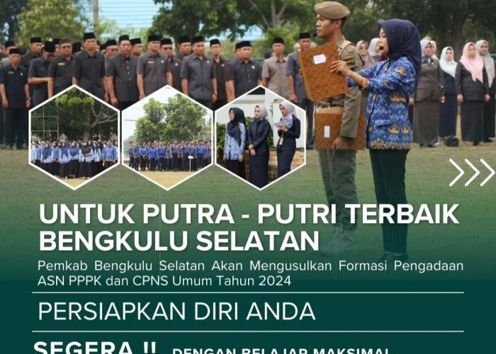 Ada 457 Kuota Penerimaan CPNS dan PPPK di Bengkulu Selatan, Berikut Formasinya