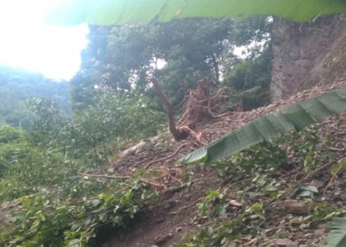 Musim Hujan, Longsor Masih Intai Jalur Lebong Tandai