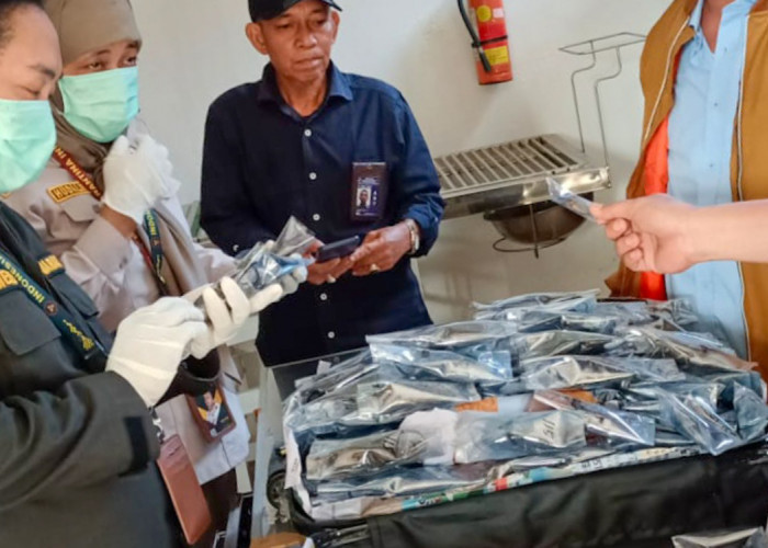 Tak Kantongi Dokumen, 818 Kumbang Tanduk Diamankan di Bandara Fatmawati Bengkulu