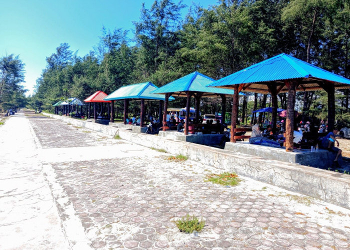 Tanpa Biaya, Gazebo Gratis di Pantai Panjang Bikin Wisatawan Betah