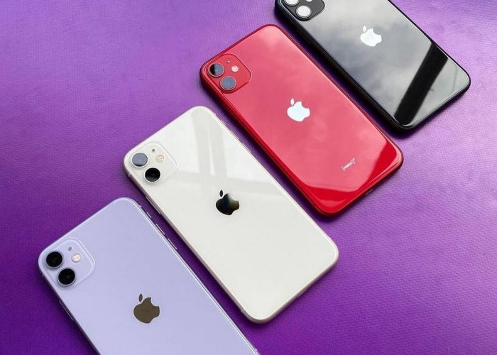 Kelebihan dan Kekurangan iPhone 11! Simak Harga Terbaru dan Review Lengkap 2024