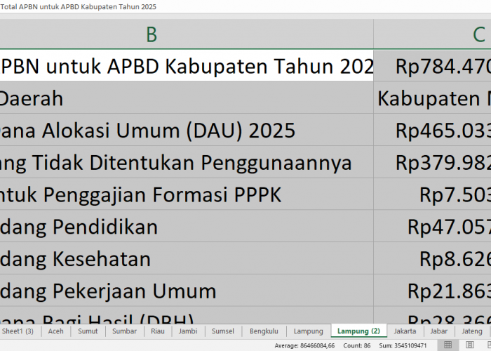 APBD 2025 Mesuji: Proyek Prioritas, Tunjangan Guru, dan Dana Desa dari Rp784,47 Miliar APBN