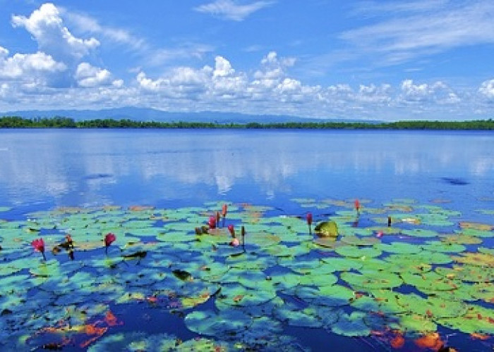 SEGERA MENDUNIA! Danau Dendam Tak Sudah Wisata Alam di Bengkulu yang Indah dan Melegenda   