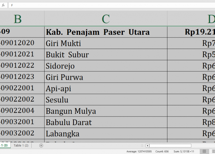 Rincian Dana Desa 2025 Tiap Desa di Penajam Paser Utara dan Mahakam Ulu, Ini Desa Terbesar