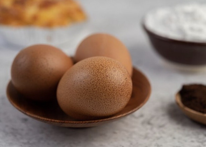 Punya Kolesterol Tinggi, Bolehkah Makan Telur Setiap Hari? Ini Penjelasannya
