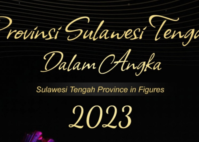Fantastis! Sulawesi Tengah Proyek Kesehatan Tahun 2024 354 Miliar: Ini Rincian Kabupaten/Kota