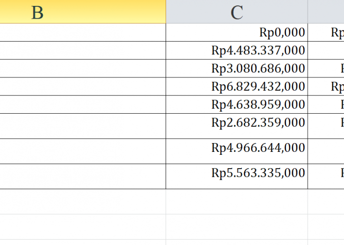 Bantuan Operasional Keluarga Berencana Bali Rp32,4 Miliar, Berikut Rincian per Daerah