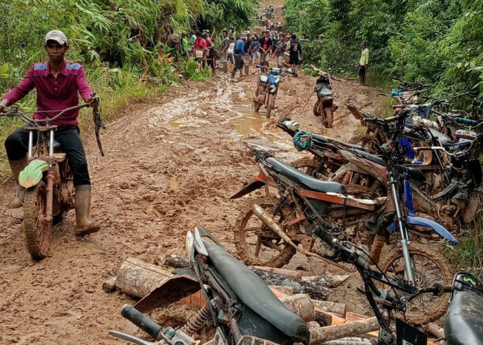 Jalan Desa Tanjung Aur Kaur Rusak Parah, Warga Bertaruh Nyawa Perbaiki Jalan Secara Mandiri