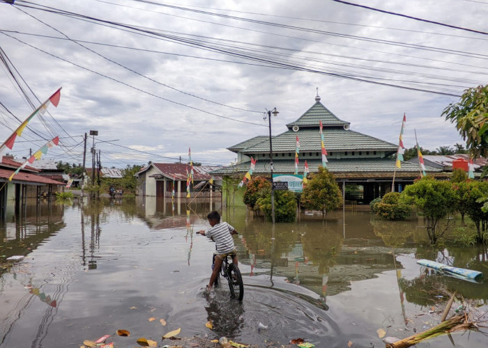 Imunitas Jangan Tumbang! Cara Efektif dan Tips Menjaga Kesehatan Saat Banjir Melanda
