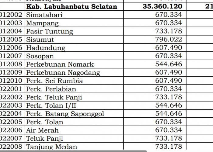 Simak Rincian Dana Desa 2024 Labuhanbatu Selatan, Sumatera Utara: 35 Desa 1 Miliar