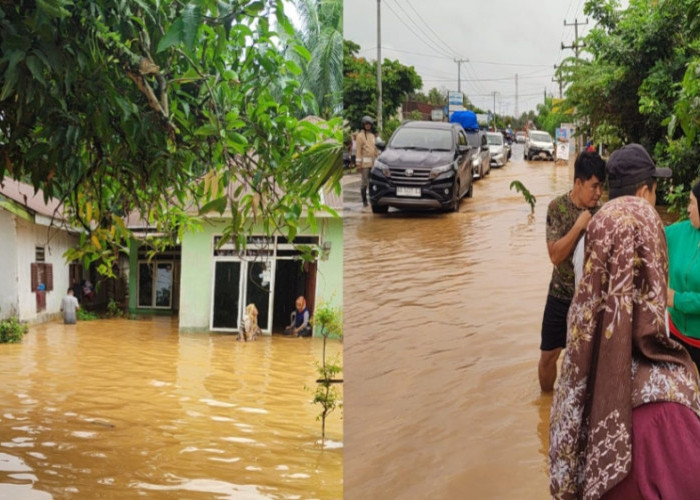 Banjir Sukaraja Kabupaten Seluma, Terparah di Cahaya Negeri 50 Rumah dan Jalan Terendam