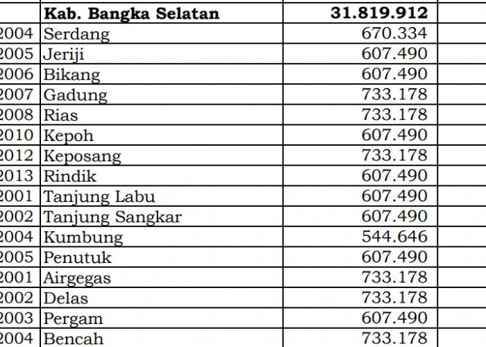 Berapa Rincian Dana Desa 2024 Bangka Selatan, Bangka Belitung? Cek Jawabannya di Sini