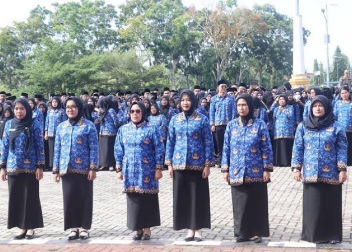 10 PPPK Paruh Waktu Mukomuko Mundur, Jumlah Pegawai Kini Tinggal 1.863 Orang