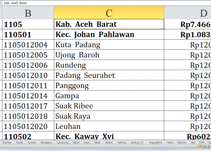 Ini 62 Desa di Kabupaten Aceh Barat Raih Dana Insentif Desa 2024