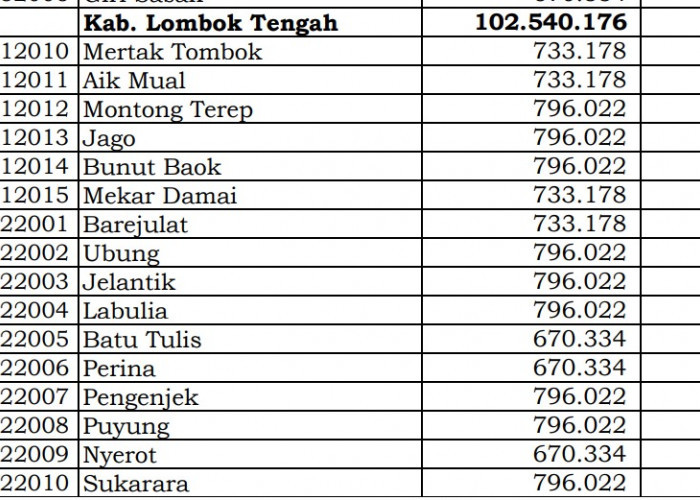 Dana Desa 2024 Lombok Tengah, NTB: Cek Rinciannya di Sini