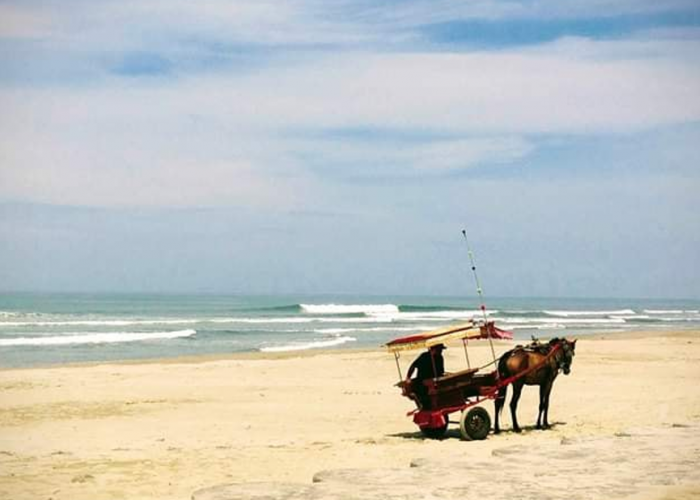 Update! 7 Rekomendasi Penginapan dan Hotel di Dekat Destinasi Wisata Pantai Panjang Bengkulu