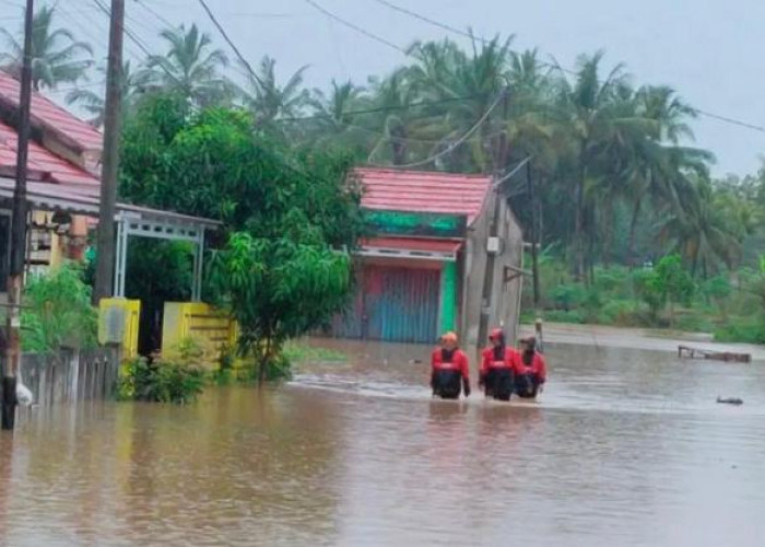 BPBD Siaga 24 Jam Amankan TPS Rawan Bencana di Kota Bengkulu saat Pilkada 2024, Kerahkan 51 Personel