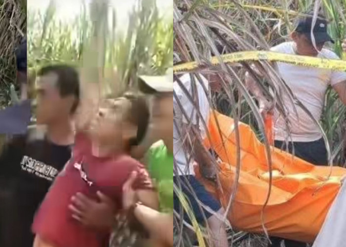 Suami Histeris di TKP Istri Hamil Ditemukan Tak Bernyawa di Kebun Tebu, Sempat Pamit Antar Pesanan