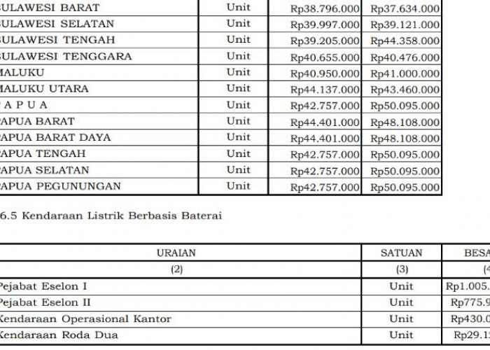 Kendaraan Listrik Dinas Tembus Rp1 Miliar, Bus Operasional Pemerintah Hampir Rp1,9 Miliar Sesuai PMK