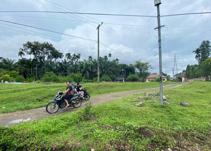 Warga Gagalkan Aksi Pencurian Sapi Pakai Mobil, Sempat Kejar-kejaran Berujung Pelaku Kabur