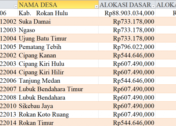 Tabel Rincian Dana Desa 2024 Kabupaten Rokan Hulu, Lampung: Ini Lengkapnya