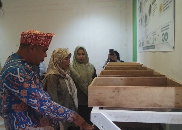Pemkot Bengkulu Dorong Budidaya Maggot Setiap Kecamatan, Sampah Organik Jadi Sumber Ekonomi Warga