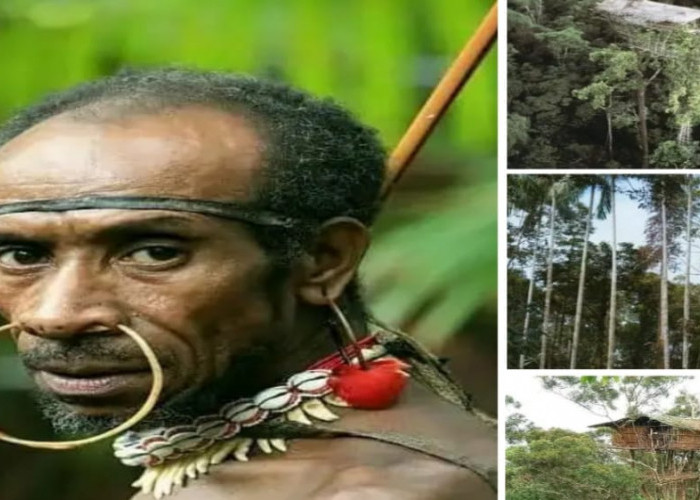 Suku Korowai, Salah Satu Suku Kanibal dan Terpencil dari Papua Indonesia