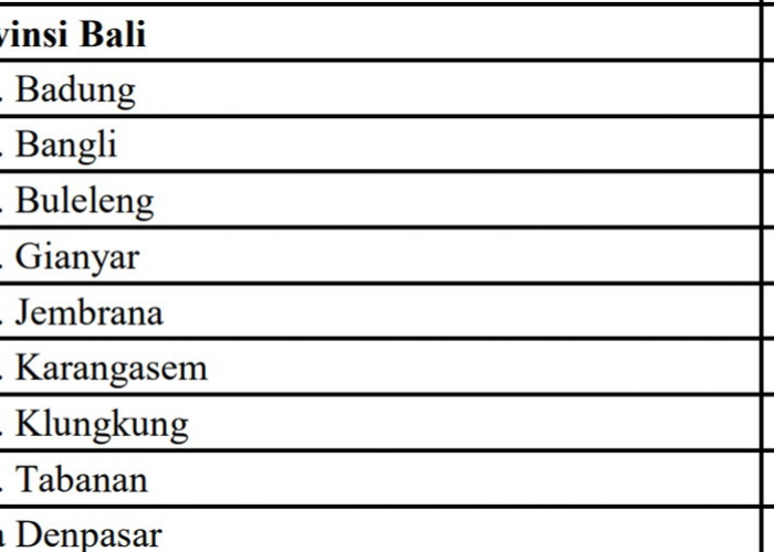 Anggaran Dana Proyek Jalan Tahun 2024 di Provinsi Bali: Ini Rincian per Daerah