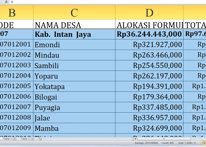 Mau Tahu Desa Mana yang Paling Untung dari Dana Desa 2025 di Intan Jaya? Cek Sekarang!