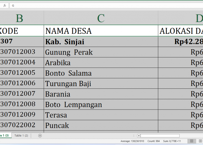 Di Sini Lengkap Rincian Dana Desa 2025 Sinjai Sulawesi Selatan Rp62,2 Miliar, Cek Desa Terbesar Penerima