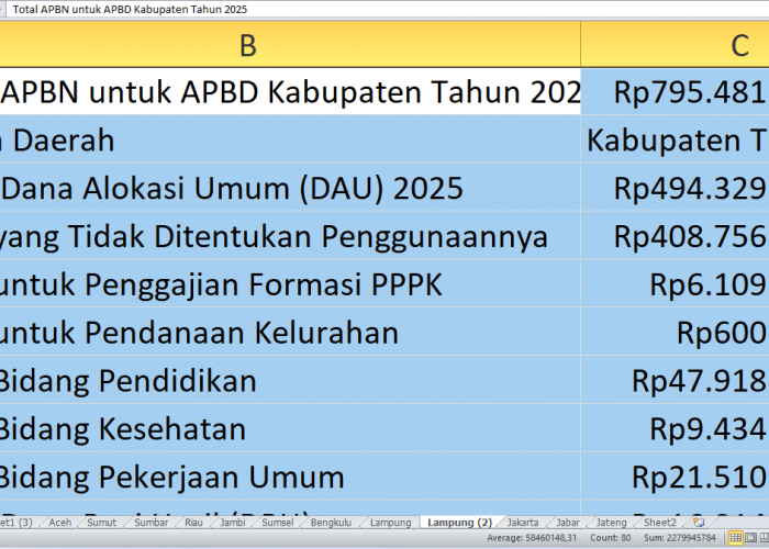 APBD 2025 Tulang Bawang Barat: Rincian Rp795,48 Miliar dari APBN untuk Proyek dan Tunjangan Guru